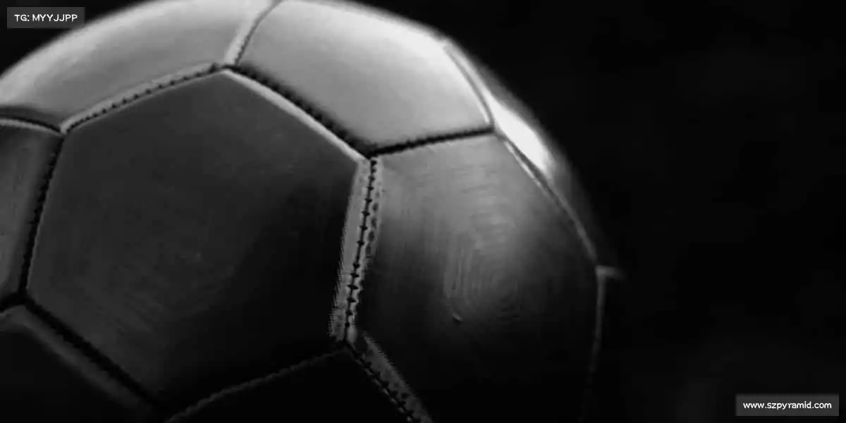 行业领先的理由